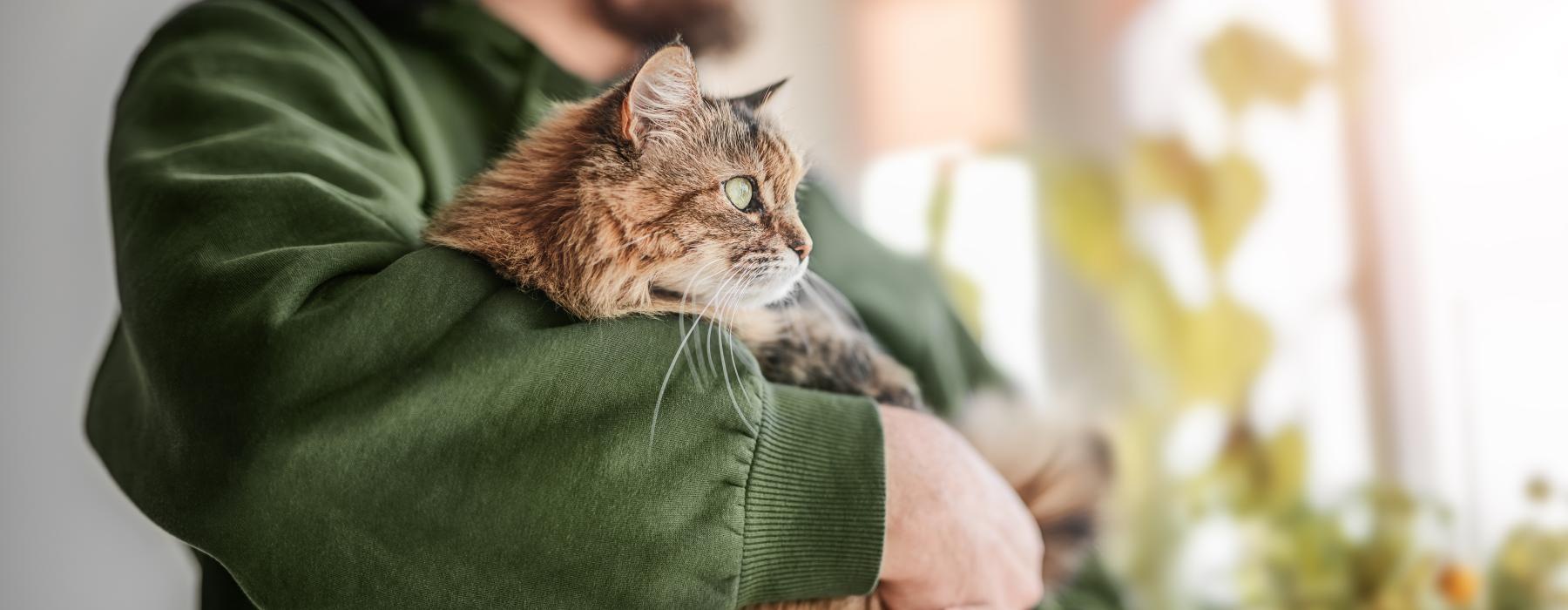 a person holding a cat